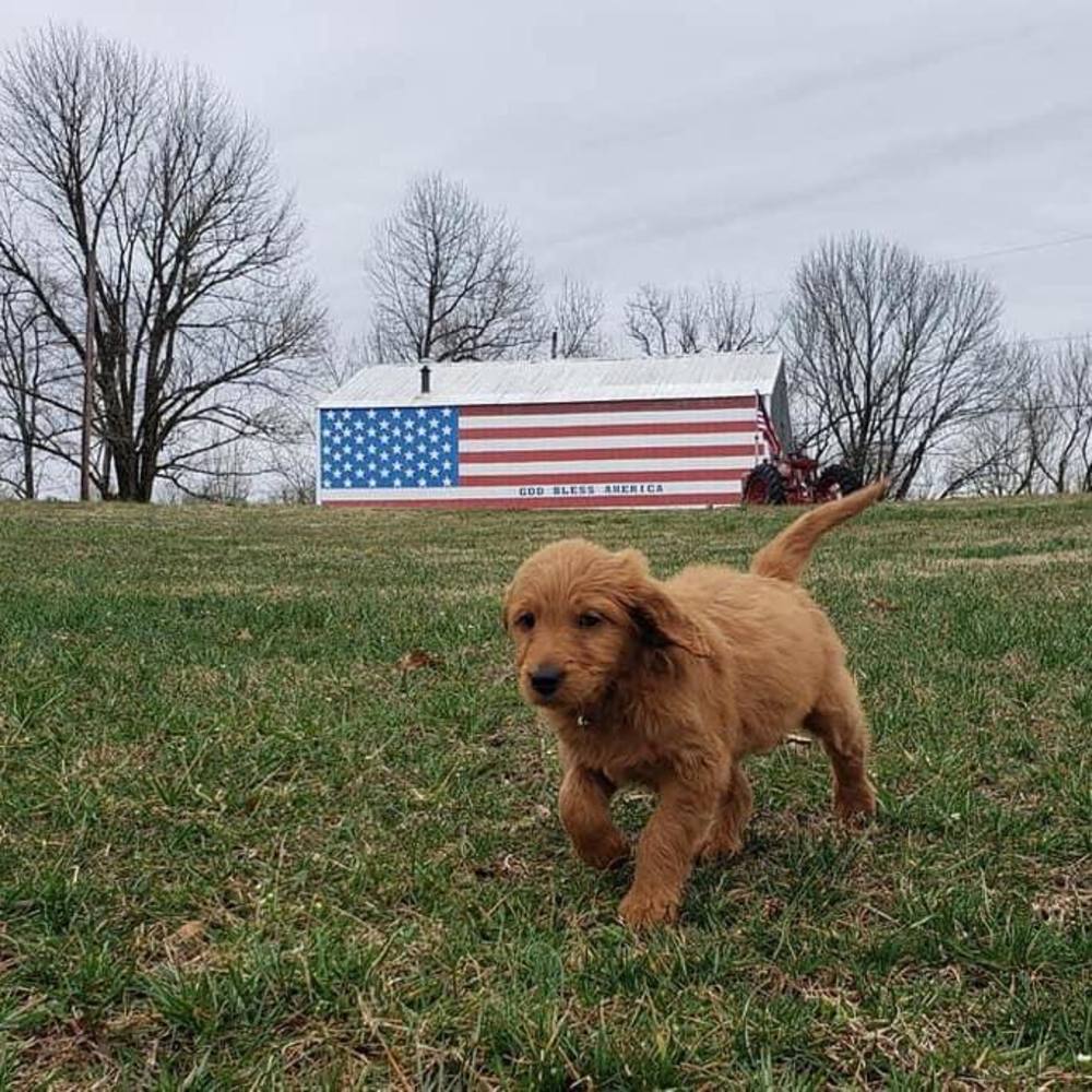 Meet your Posher, Virginia